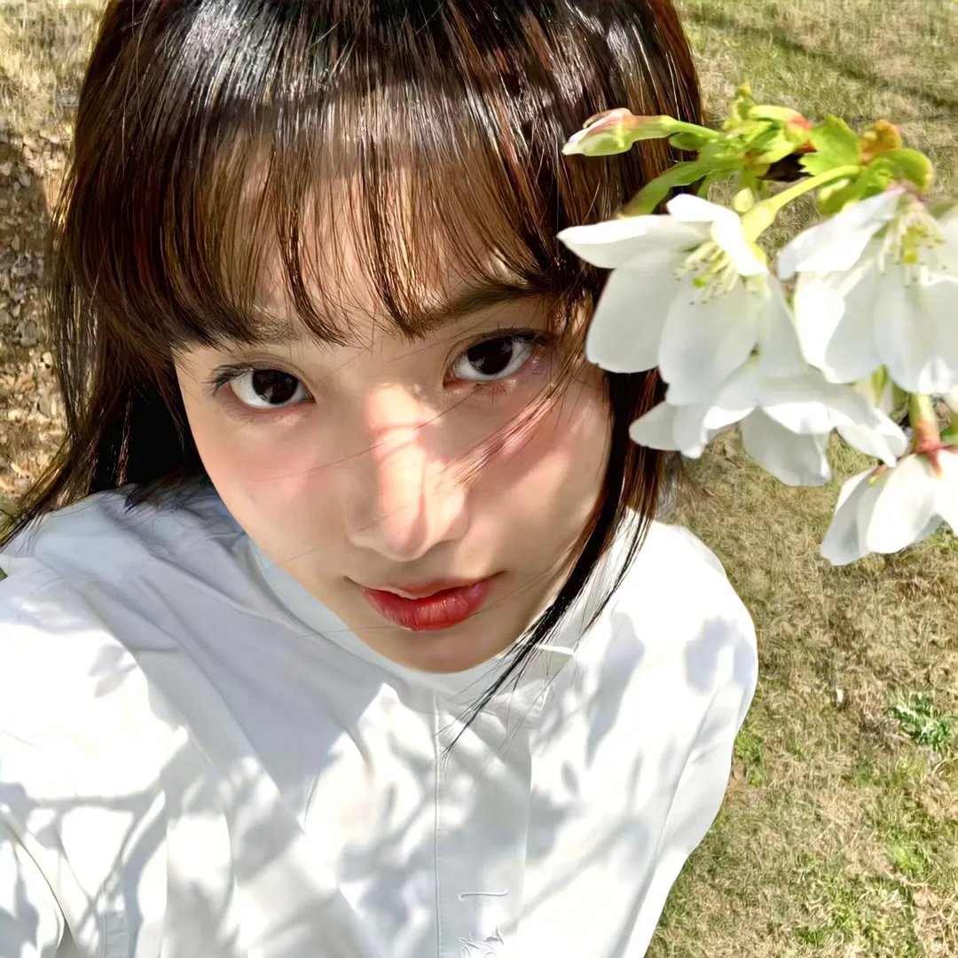 青春素描