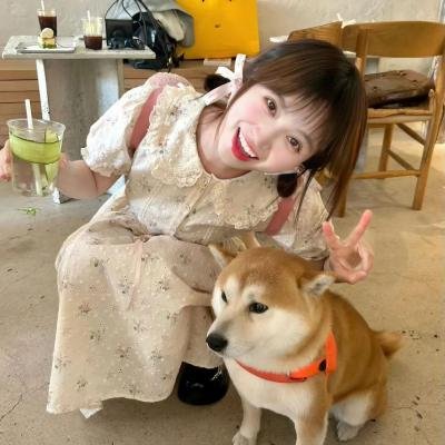 淑女宠爱
